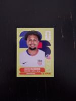 panini 2026 usa 10