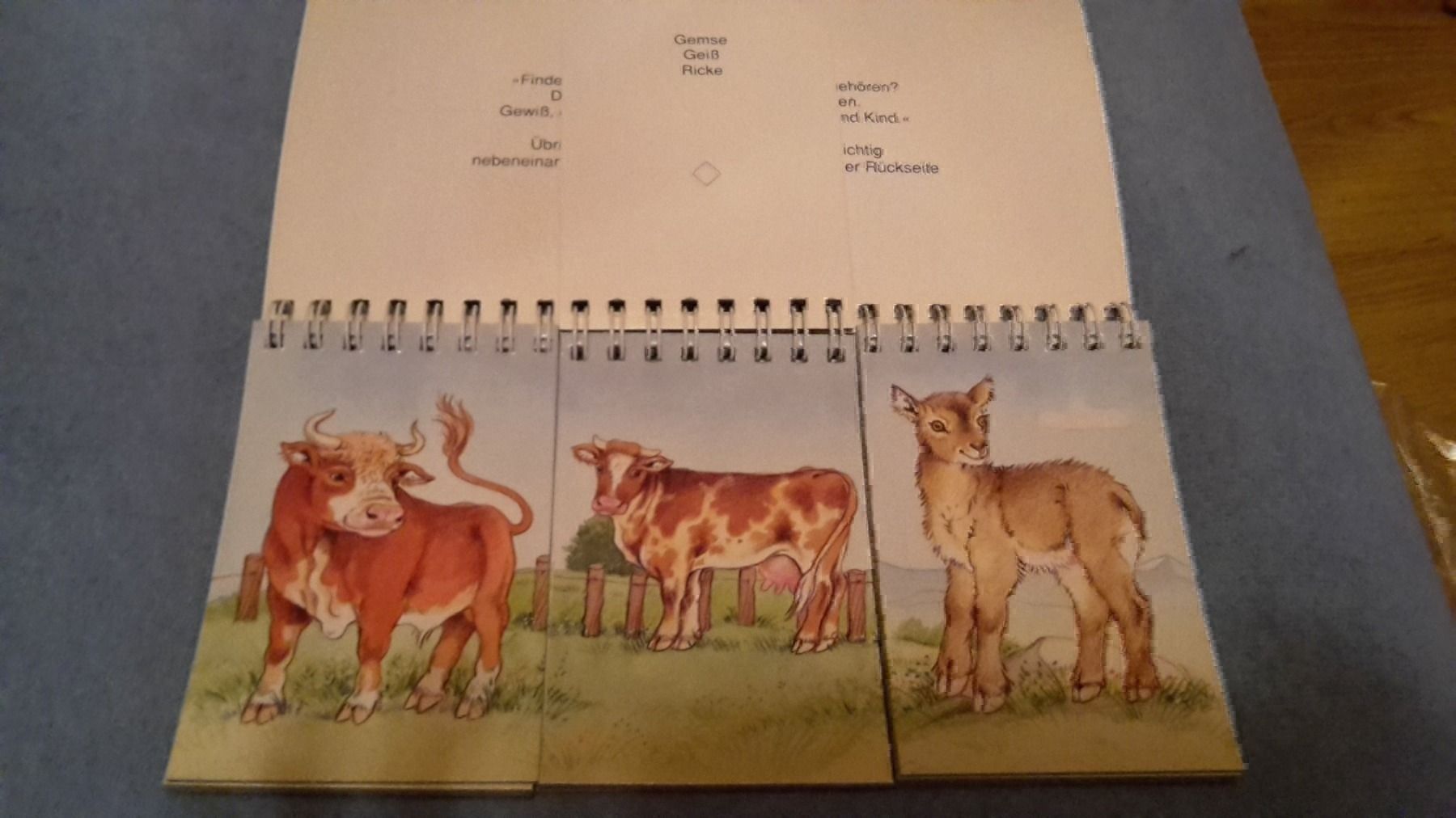 Libri: Klapp Bilderbuch Kikeriki – Nuovo (secondo la descrizione) da Schwarzenburg venduto da Flamingo07 2