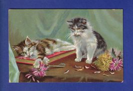 CHAT - Chats et fleurs