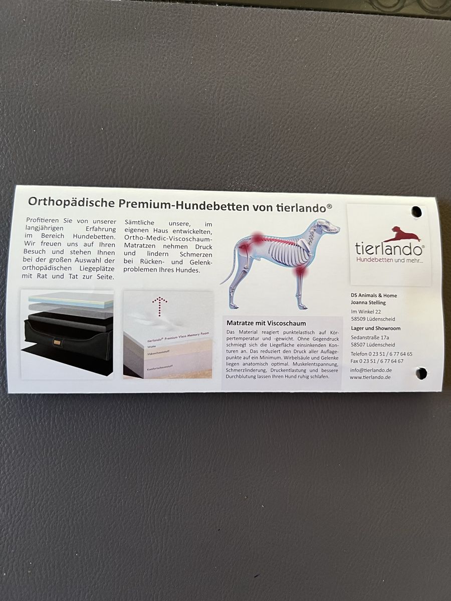 Liege- & Schlafplätze: Hundebett orthopädisch Goofy – Gebraucht aus Betschwanden von Dognose 5