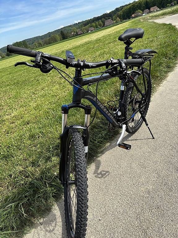 Wheeler Biciclette: Wheeler Protron 320 – Usato da Oberönz venduto da pescita