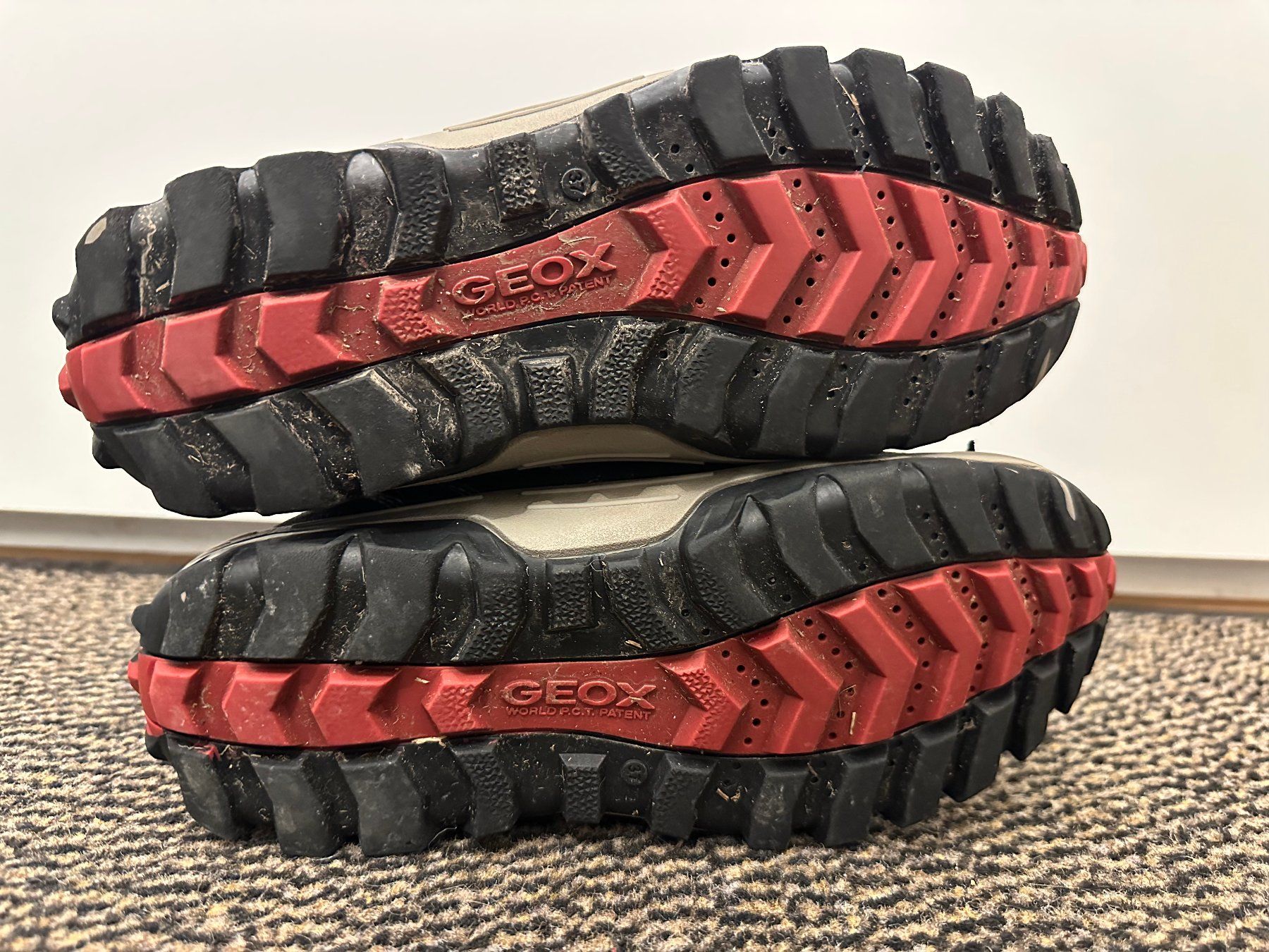 Geox Scarpe per ragazzi: Geox Winterstiefel Gr. 37 – Usato da Winterthur venduto da nel_dn6r 2