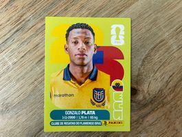 Panini FIFA 2026 ECU 16