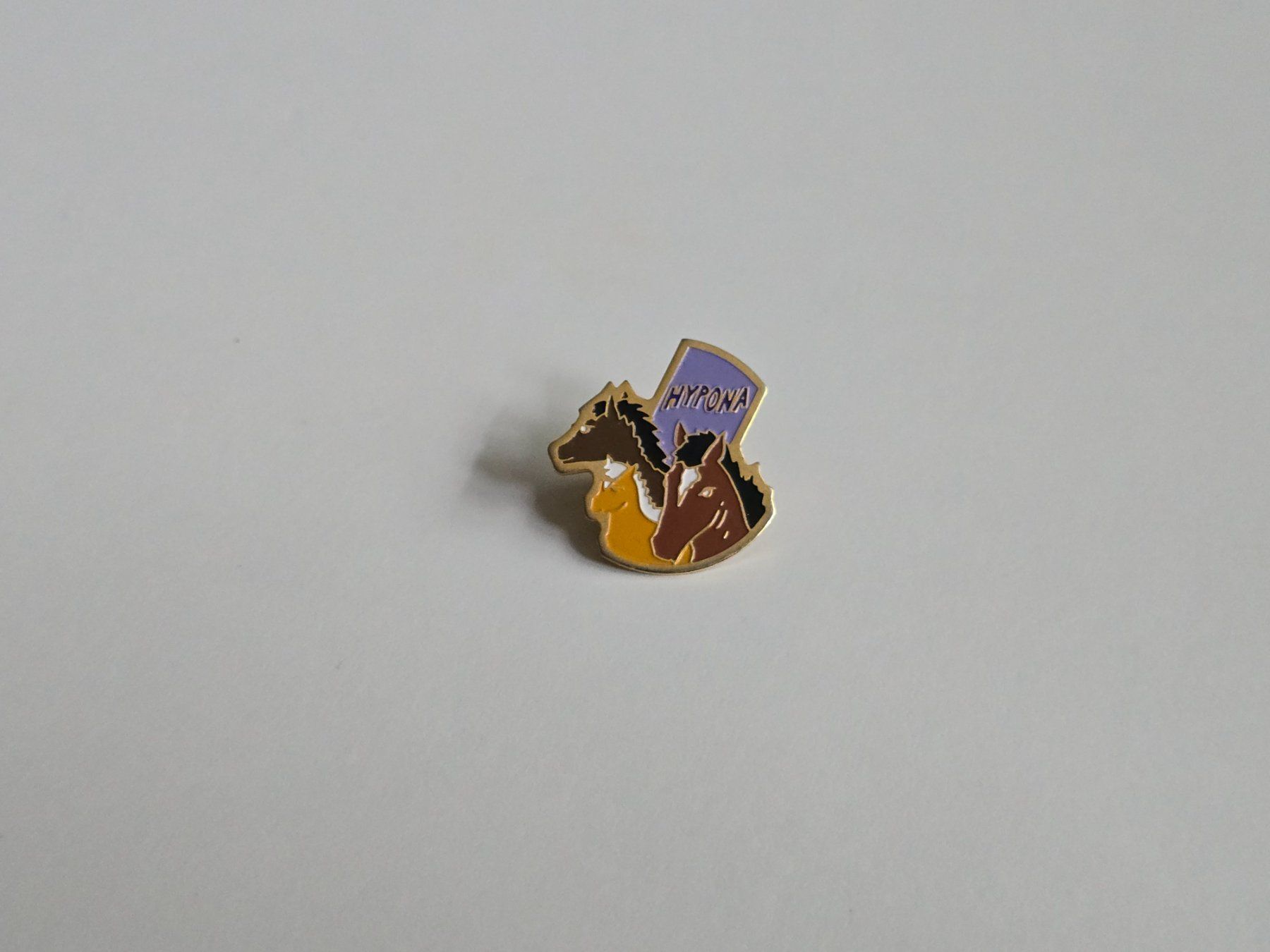 Plaketten & Abzeichen: Pin HYPONA – Gebraucht aus Dättlikon von Wundertuete_