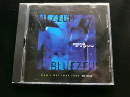 CD-S BLUEZEUM: Can I get that funk,  5 mixes, 1996