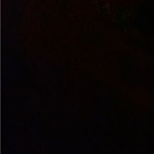 Profile image of felipeatb