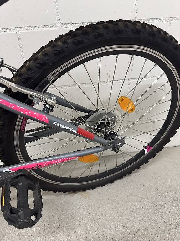 Biciclette: Capriolo Diavolo 400 – Usato da Staufen venduto da dus_spd7 3