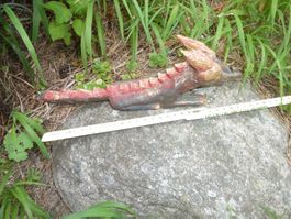 Holzfigur Drachen handgemacht handbemalt L ca 28cm ASIEN