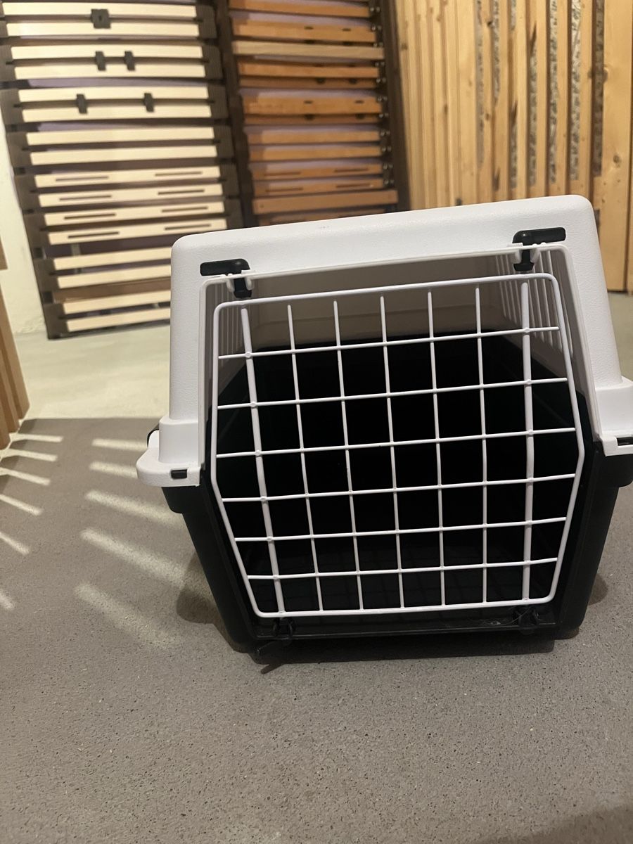 Gabbie, trasporto & Sicurezza: Transportbox – Usato da Gattikon venduto da Joy.