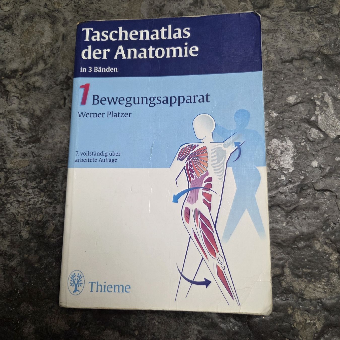 Libri: Taschenatlas der Anatomie – Usato da Meggen venduto da Ram_779z