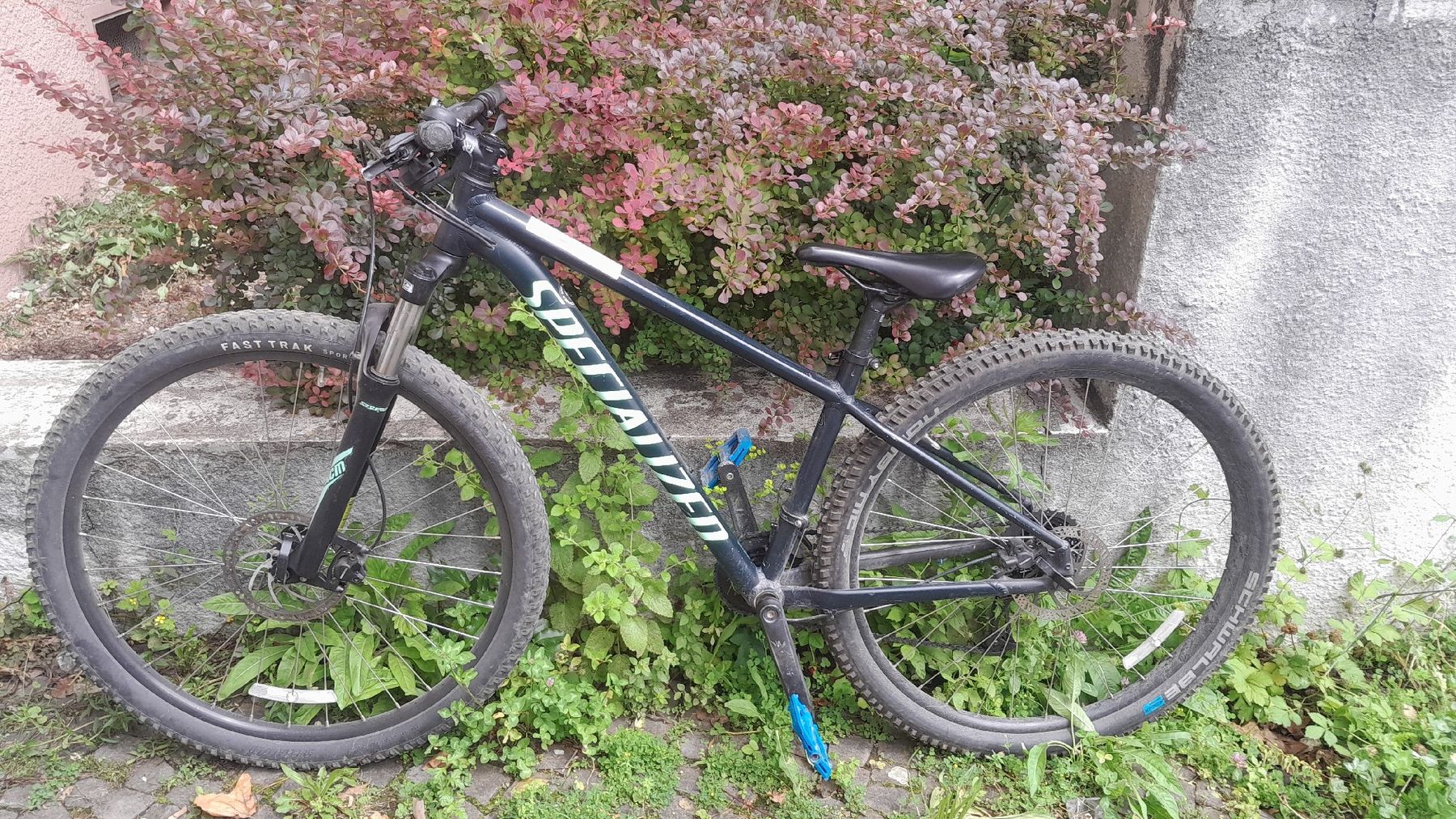 Specialized Biciclette: Specialized Rockhopper Sport (Hardtail 29'', Rahmengrösse M) – Usato da Zürich venduto da