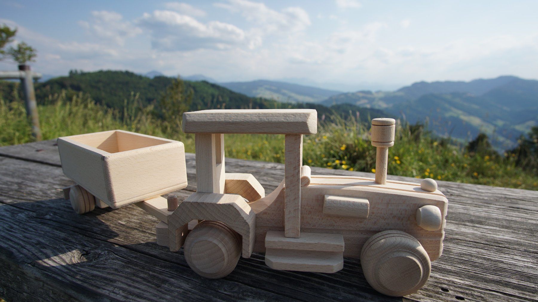Giocattoli: Holztraktor mit Anhänger – Nuovo (secondo la descrizione) da Abtwil SG venduto da k0n_xp9v 1