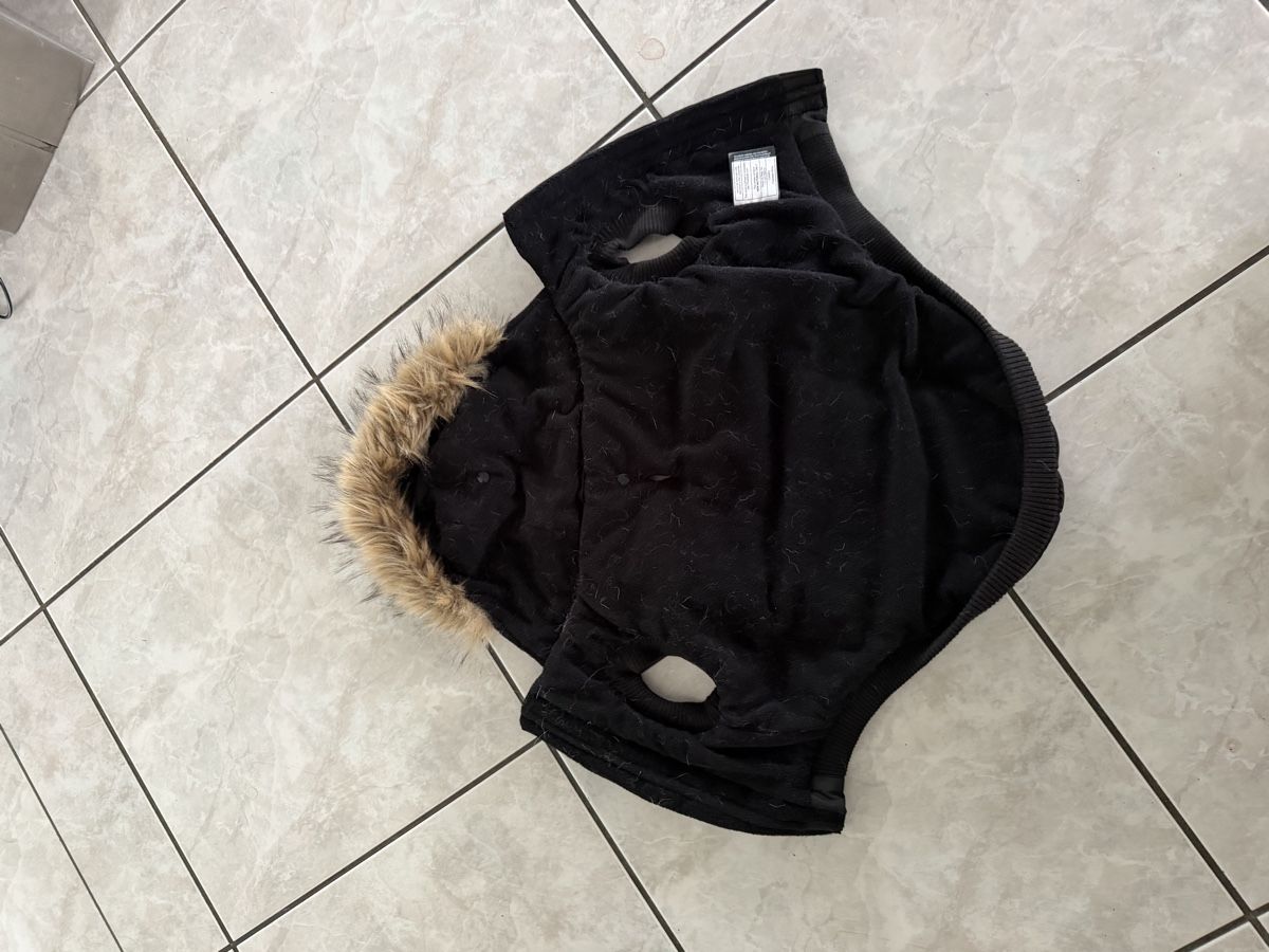 Abbigliamento: Canada Pooch Hundewintermantel – Nuovo (secondo la descrizione) da Tennwil venduto da Zenayda 3