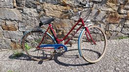 Bicicletta da donna