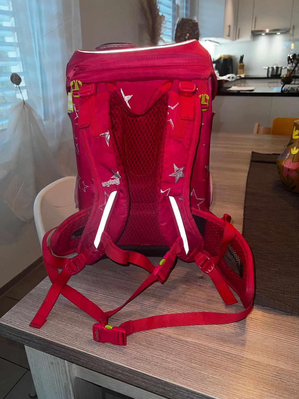Ergobag Kindertaschen: Ergobag Schulranzen – Gebraucht aus Schübelbach von rosaria17 2