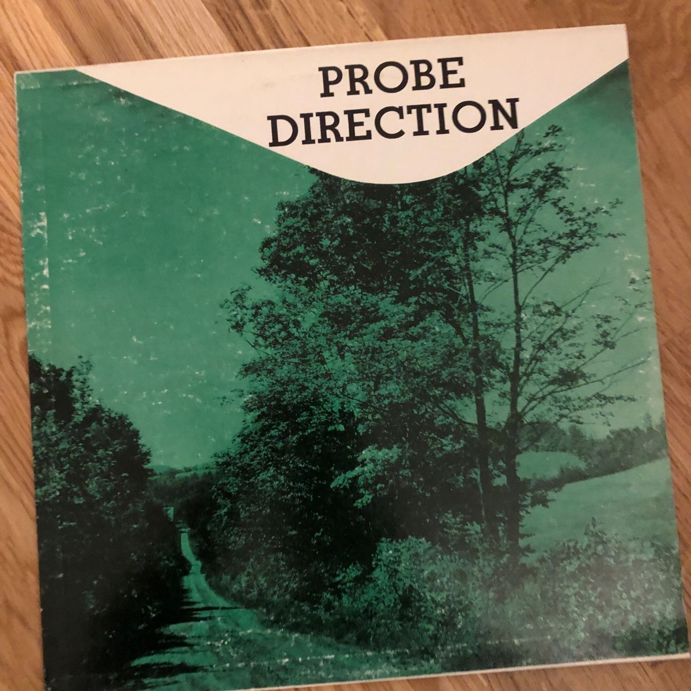 Dischi in vinile: Probe Direction same 1969 Heavy Acid Rock USA – Usato da Zürich venduto da manuunited