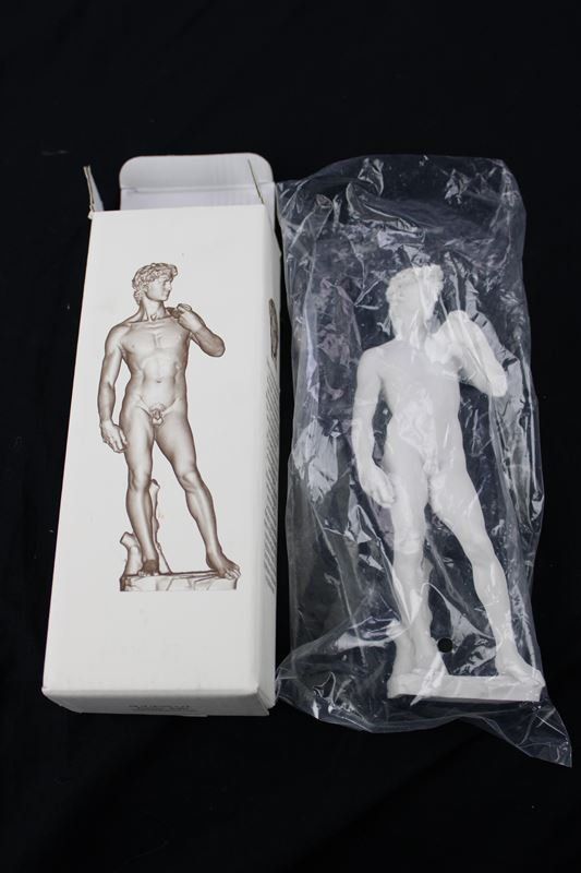 Sculture & Statue: Michelangelo's David Statue, Replika Florenz - 20 cm – Nuovo (secondo la descrizione) da Rüti ZH venduto da Restwert_Rueti_ZH 7