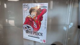 ONE PIECE DAY '24 Premium Card Collection | JP