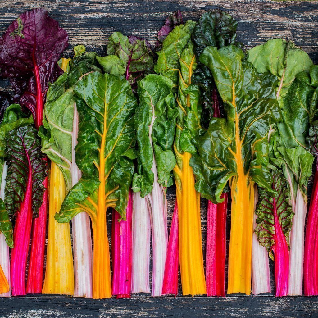 Piante & sementi: 50 Samen Mangold RAINBOW BLEND – Nuovo (secondo la descrizione) da Ehrendingen venduto da VerveinaSamen 1