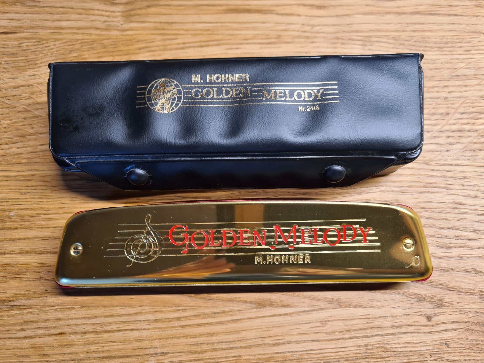Hohner Strumenti musicali: Hohner Golden Melody – Usato da frutigen venduto da Plethora14