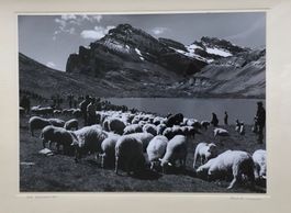 Vintage Hans Lörtscher, Am Daubensee, Landwirtschaft, Schafe