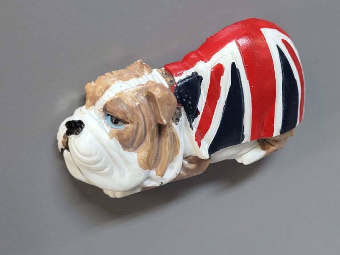 Calamite: Britischer Bulldogge Magnet – Nuovo (secondo la descrizione) da Figino venduto da MabaStore24