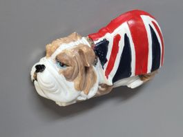 Britischer Bulldogge Magnet