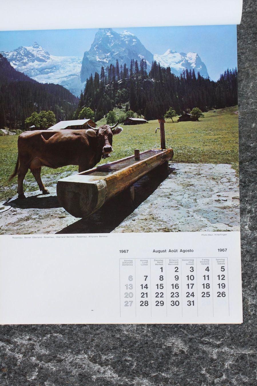Kalender: Rapid-Jahreskalender 1967 – Neu (gemäss Beschreibung) aus Altstätten SG von alpalfa 3