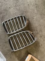 Nieren Grill Kühlergrill für BMW X3 f25 original