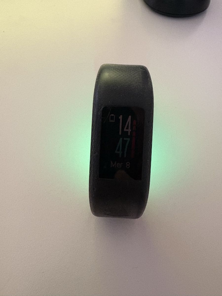 Garmin Smartwatch: Vivosport S/M - Garmin – Gebraucht aus Bellinzona von giu_2g9f 3