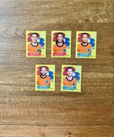 Panini WM 2026, Niederlande
