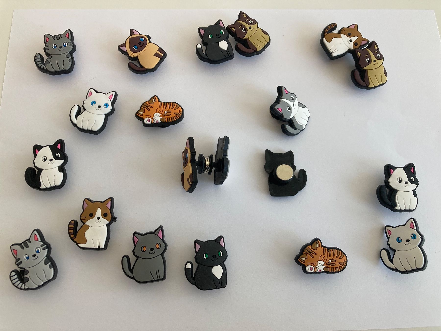 Calamite: Katzen Motiv Magnetset – Usato da Bern venduto da yla_88nl