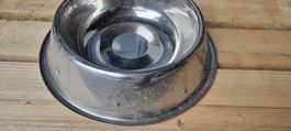 Edelstahl Napf für Hunde und Katzen - Top Zustand!