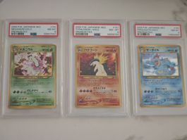 Pokémon Japanese Neo Premium File Starter Trio – PSA 8 Set