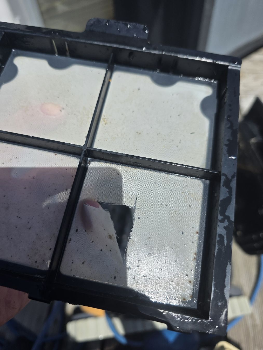 Dolphin Schwimmbad-Zubehör: Dolphin E20 mit Defekt am Filterkorb – Defekt aus Kleingurmels von arace 5