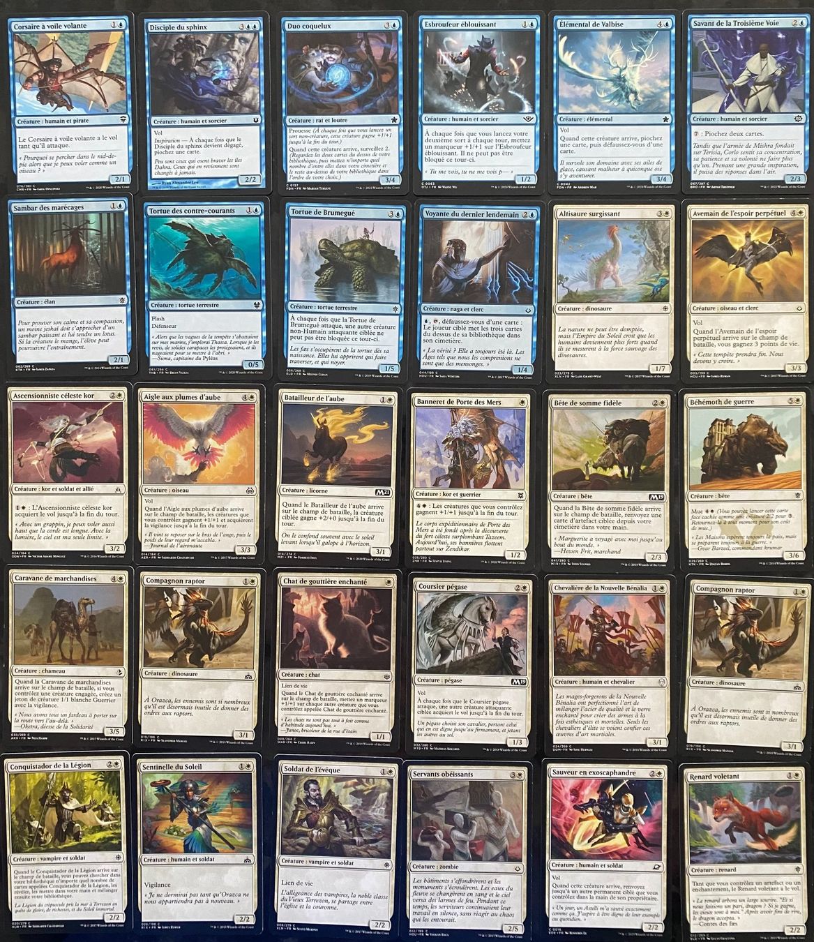 Magic The Gathering Carte collezionabili: Cartes Magic The Gathering – Usato da La Chaux-de-Fonds venduto da Rousseau-65 1