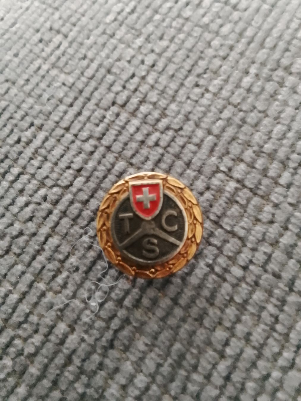Pin TCS (Gebraucht) in Liebefeld für CHF 2 – mit Lieferung auf Ricardo ...