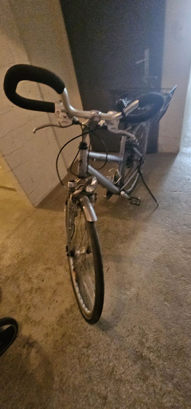 Biciclette: Cresta Damenvelo Stadtvelo mit Korb – Usato da Baden venduto da Khitsch 5