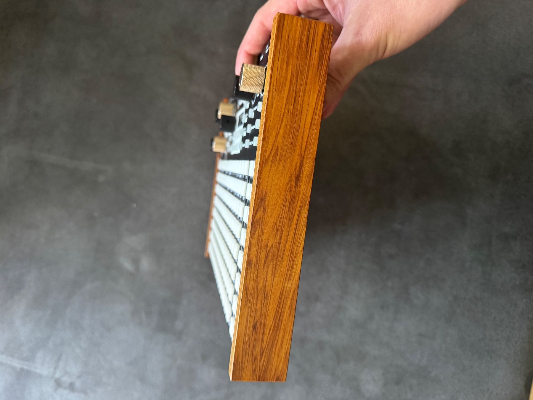 Musikinstrumente: Synthstrom Deluge (OLED Display), mit case – Gebraucht aus Zürich von mic_hfm6 2
