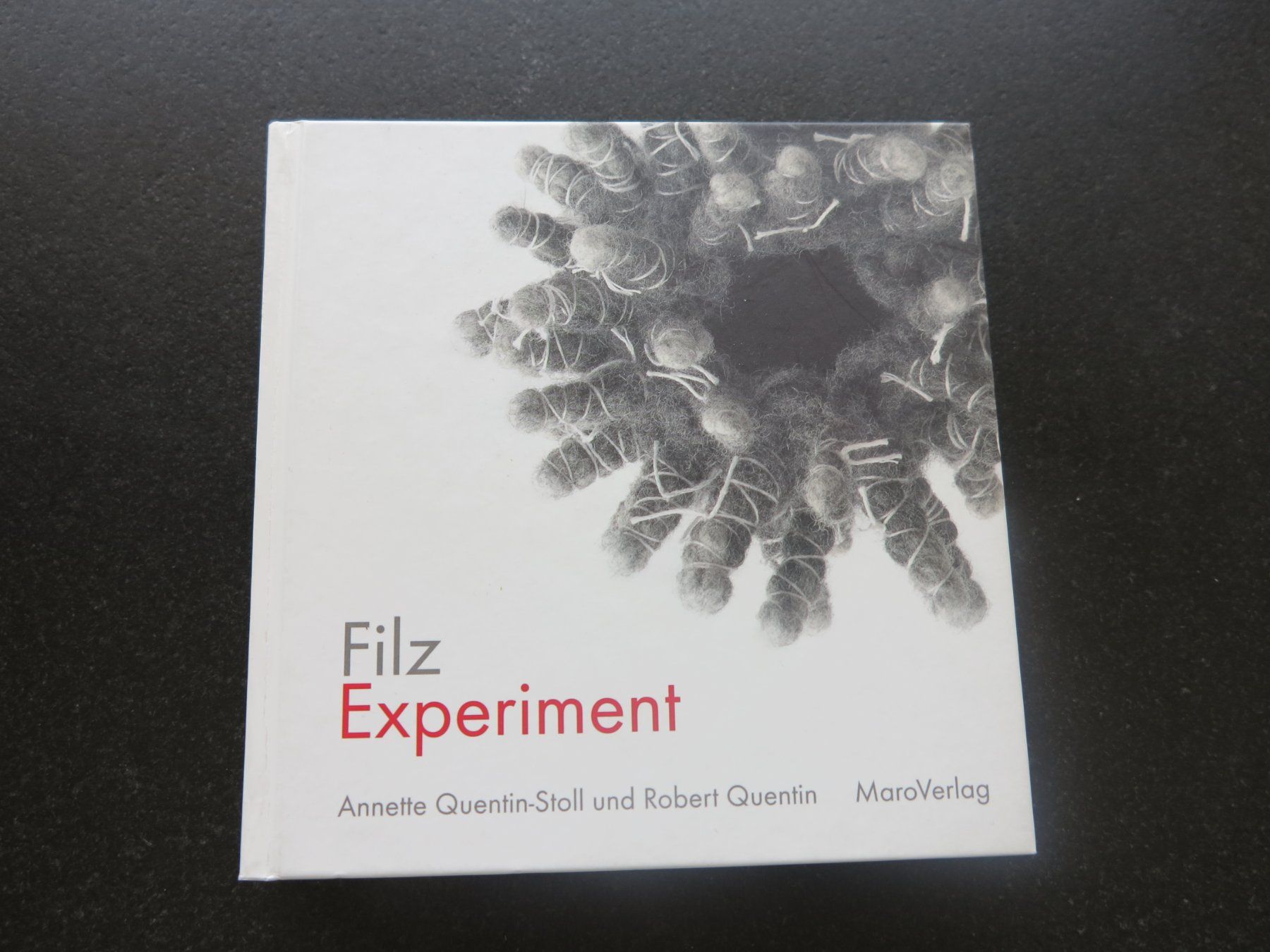 Bücher: Filz Experiment – Gebraucht aus Büttikon AG von Kaebri