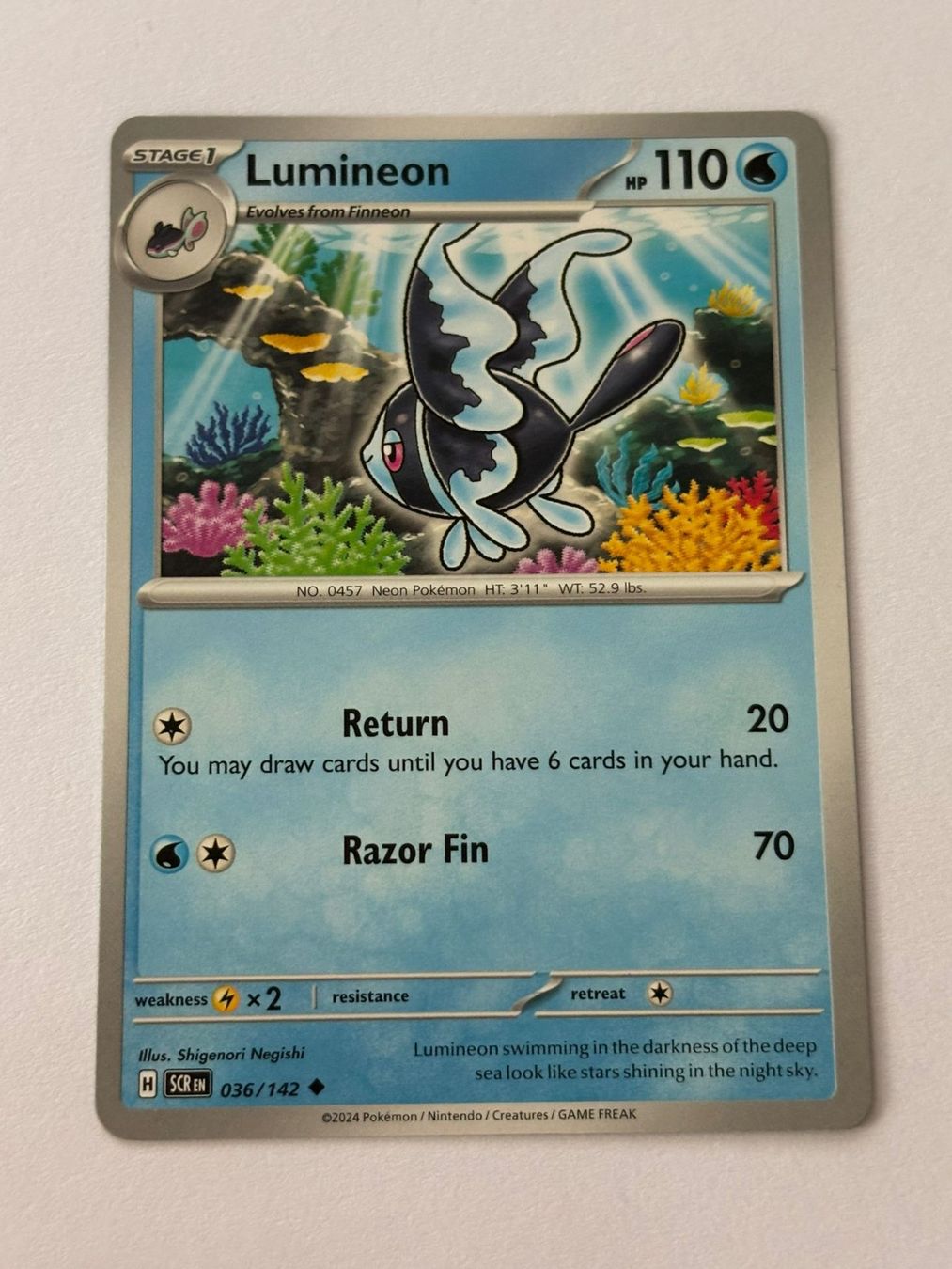 Pokémon Carte collezionabili: Pokemon-Karte Lumineon 036/142 – Usato da Herisau venduto da Seyashop1