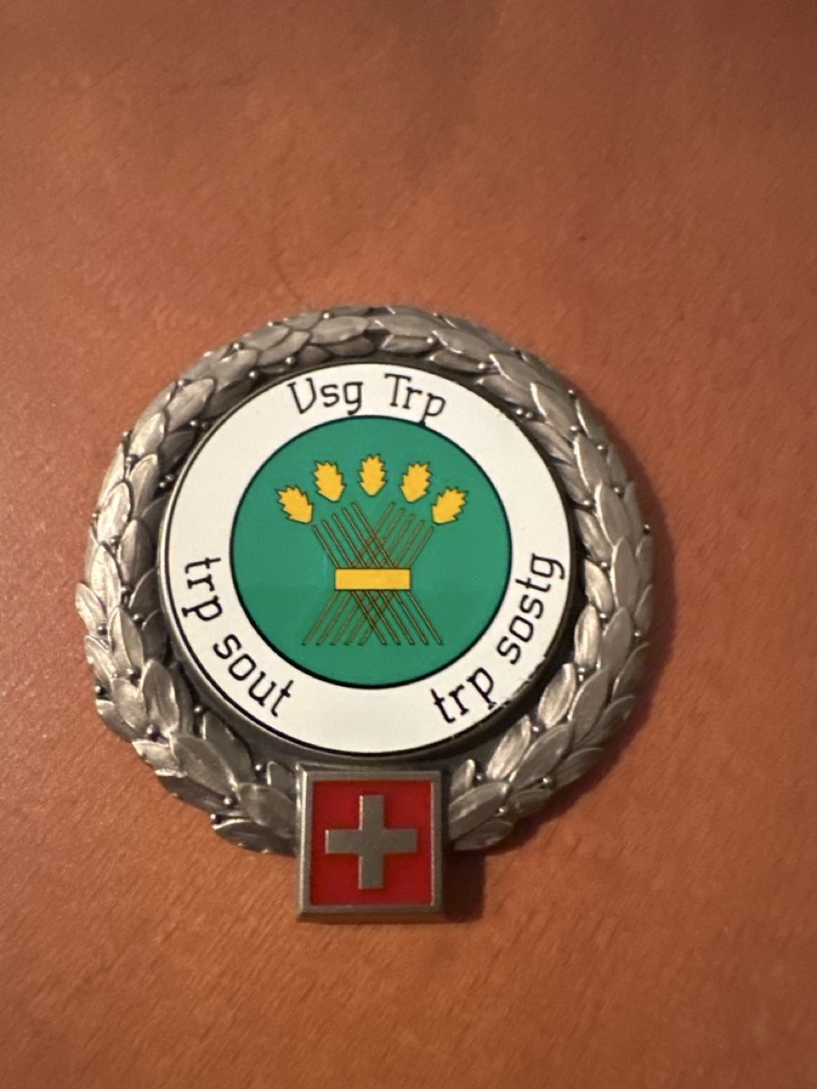 Schweizer Armee Placchette & Badge: Armee – Usato da Morbio Inferiore venduto da Ecod