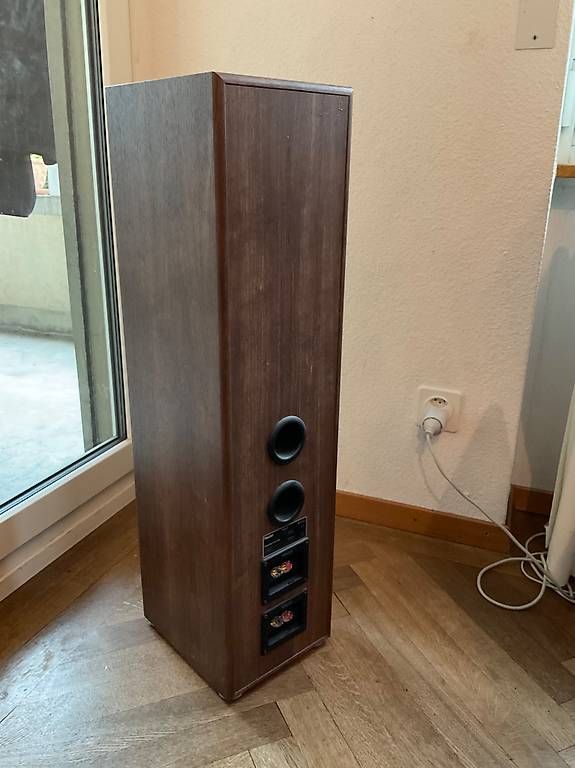Casse acustiche: 2 Magnat Standboxen – Usato da Bern venduto da ihuber 2
