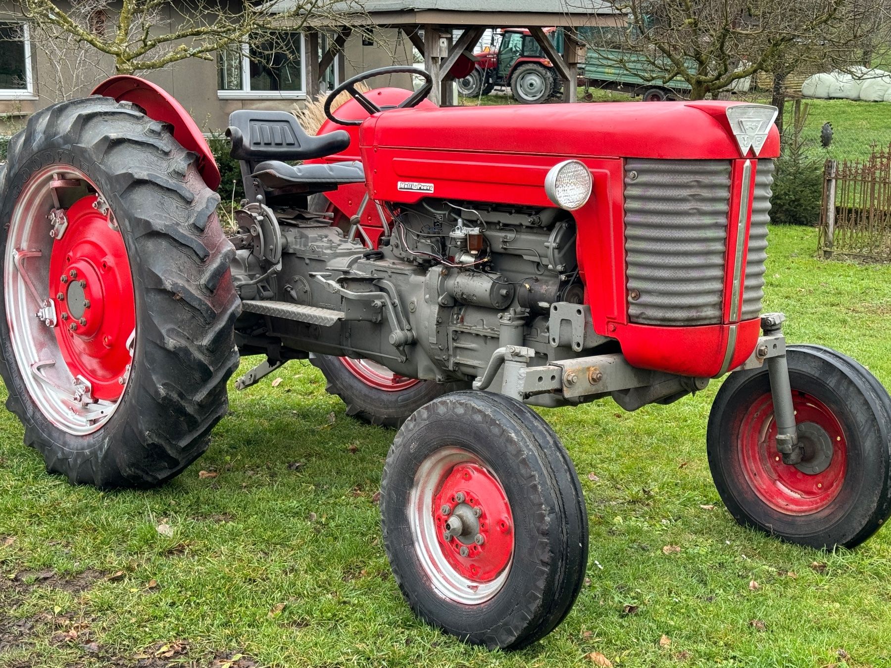 Massey Ferguson Trattori: Massey Ferguson 65 Mark II – Usato da Lenzburg venduto da Salminator