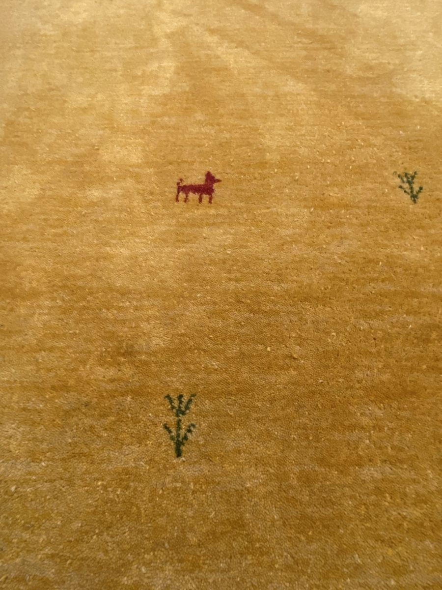 Teppiche: Gabbeh Loom 225x160 – Gebraucht aus Zürich von Simodo 3