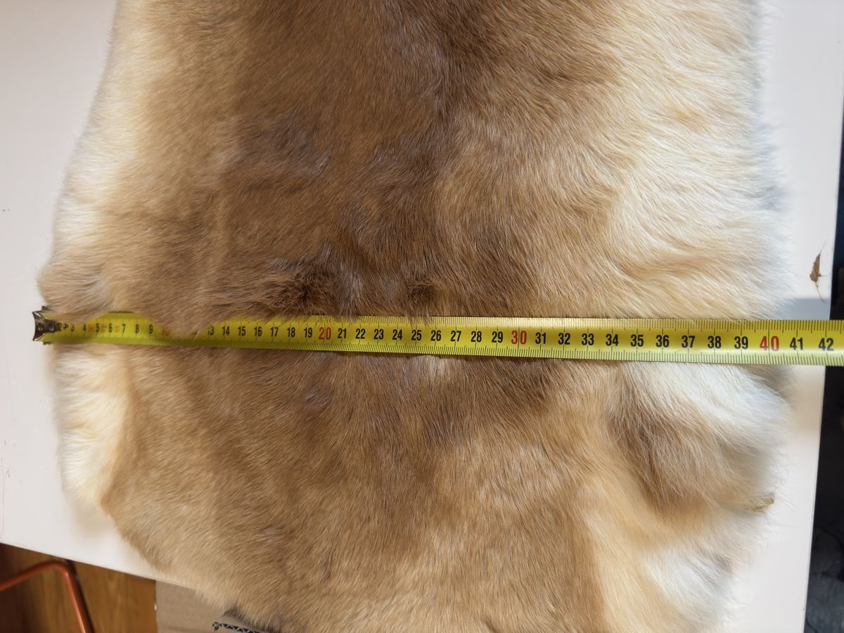 Il mondo degli animali: Kaninchenfell  – Nuovo (secondo la descrizione) da Grossaffoltern venduto da sherry73 3