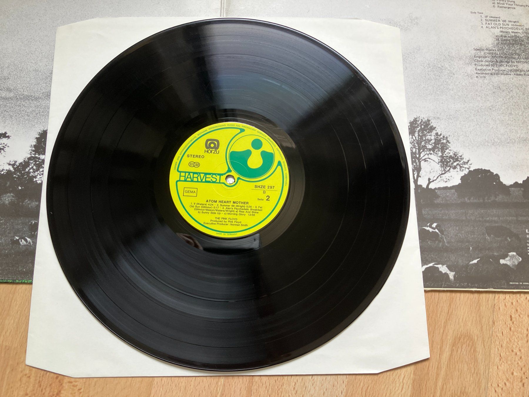 Dischi in vinile: Pink Floyd – Usato da Aarwangen venduto da Jukebox3 8