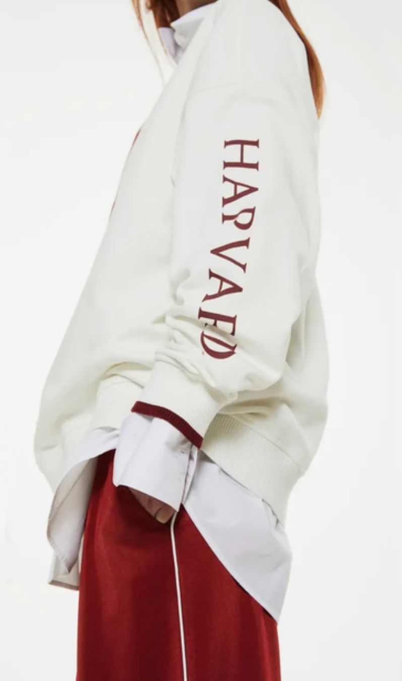 Maglioni & Felpe: NEU H&M oversize Harvard Sweatshirt / Größe M – Nuovo (secondo la descrizione) da Effretikon venduto da YaMn 9