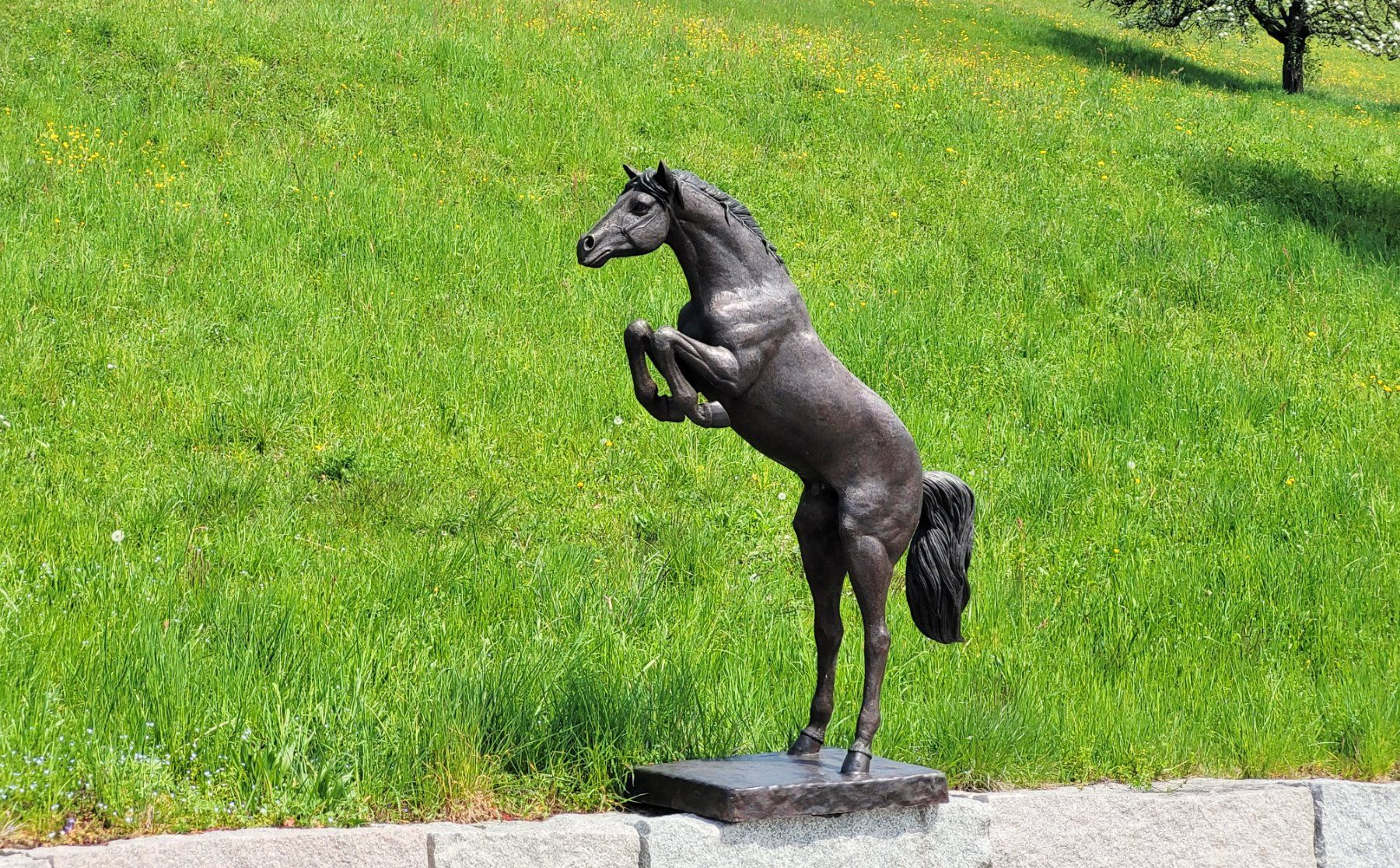 Skulpturen & Statuen: Bronzeskulptur 'Springendes Pferd' – Neu (gemäss Beschreibung) aus Stäfa von Satinoir