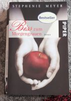 Biss zum Morgengrauen (Twilight 1) - Lesespass garantiert 